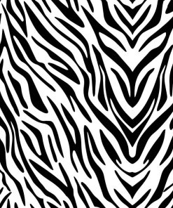Zebra Vetor