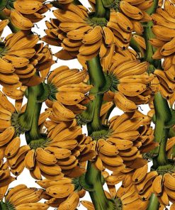 Bananada
