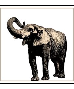 Elefante
