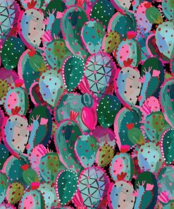 Cacto Color