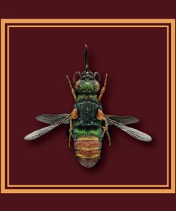 Mosca